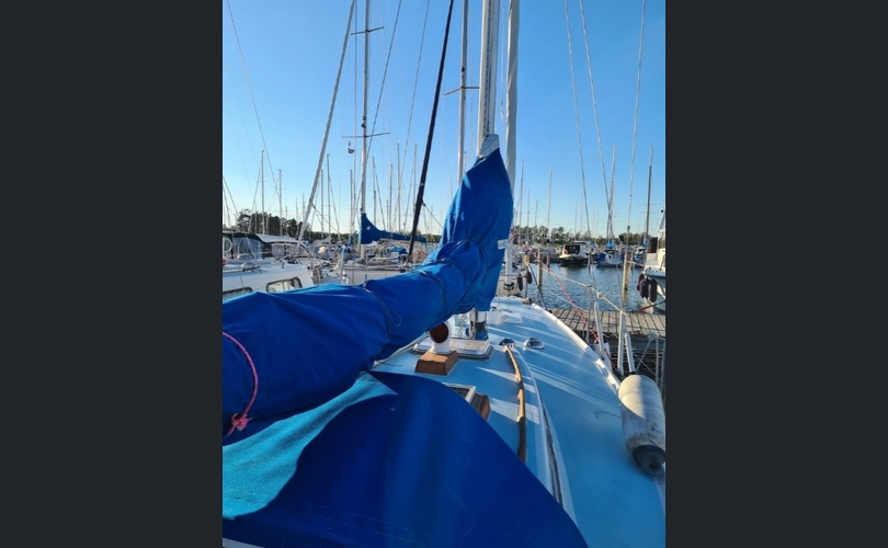 Laurin Koster 32-kuva-2